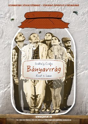 Bányavirág Bányavirág