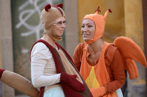 Erre csörög a dió