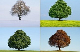 Canticum Novum Kórus koncertje Canticum Novum Kórus koncertje