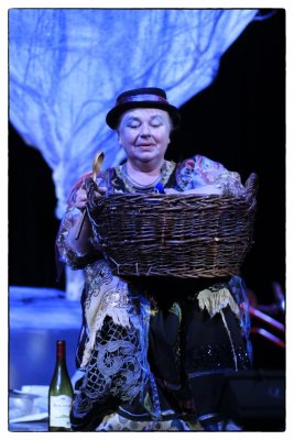 A Sötétben Látó Tündér