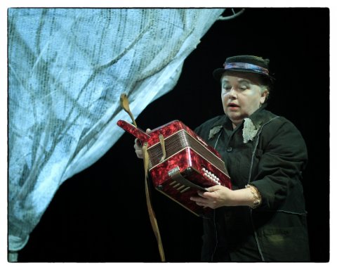 A Sötétben Látó Tündér