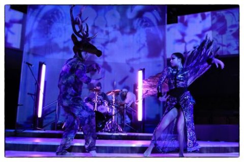 A koncert, avagy semmi sem tökéletes A koncert, avagy semmi sem tökéletes