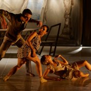 Bolond nem én vagyok Bolond nem én vagyok