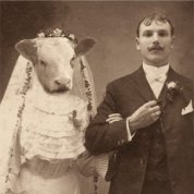 A kölcsönkért gyufa A kölcsönkért gyufa