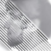 A gyertyák csonkig égnek