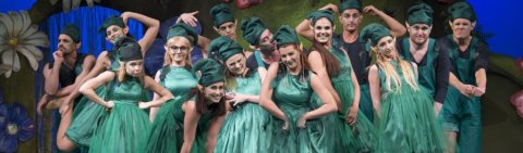 A manóvizsga A manóvizsga