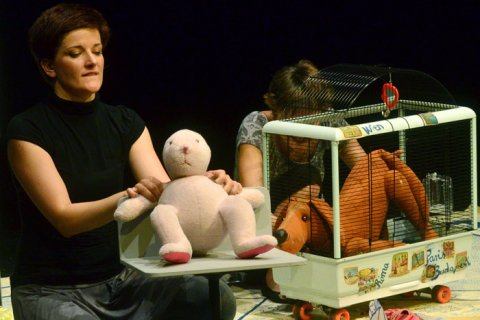 Ebcsont és Nyúlcipő