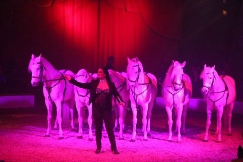 Cirkuszi szomszédolás05