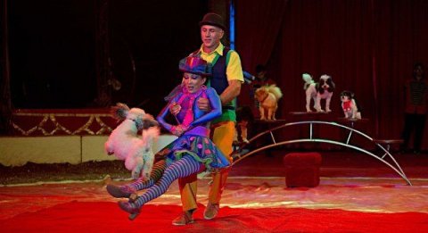 Cirkuszi szomszédolás06