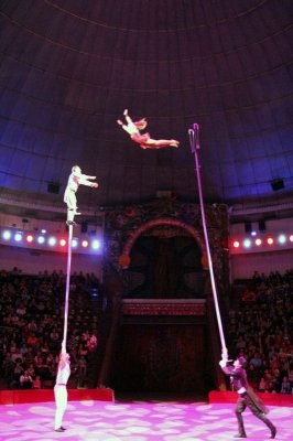 Cirkuszi szomszédolás11