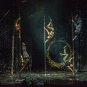 Rengeteg - Looking out