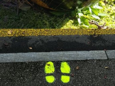 Pán Péter kalandjai