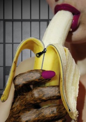 Isten hozott a majomházban