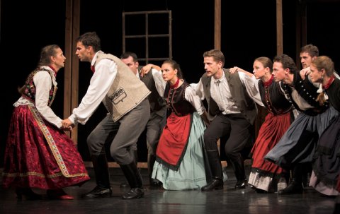 A halálba táncoltatott leány