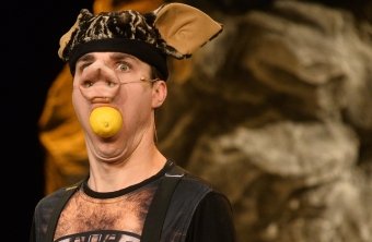 Csipike, az óriástörpe