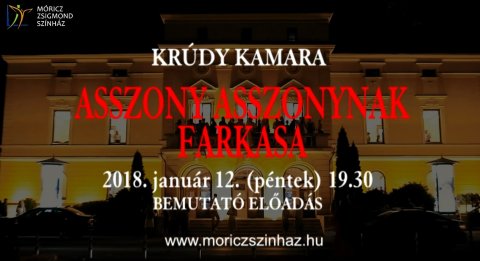 Asszony asszonynak farkasa