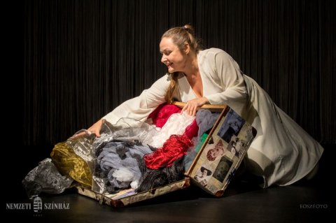 Fedák Sári Fedák Sári