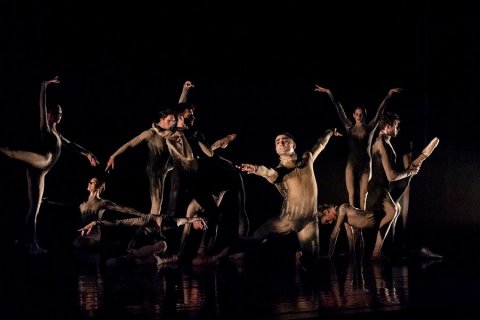 White Swan – Az Izrael Balett előadása White Swan – Az Izrael Balett előadása