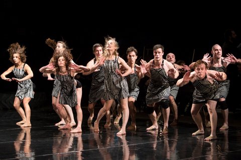 5. vonósnégyes | Concerto