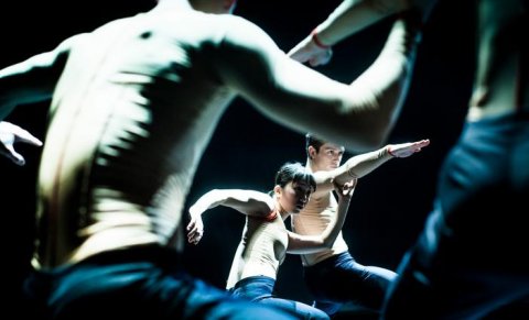 Sad Case | Handman | Cacti