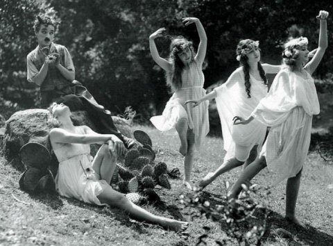 Táncoló filmkockák − Csoda születik