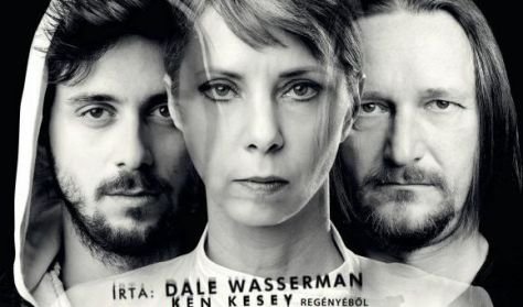 Száll a kakukk fészkére