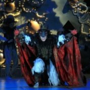 Pécsi balett: Diótörő