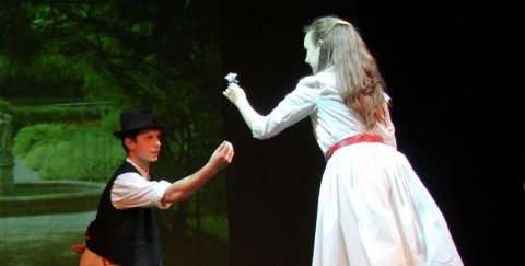 Az eltáncolt cipellők 