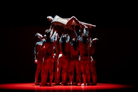 Moderato Cantabile | Baby Boy