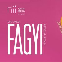 Fagyi