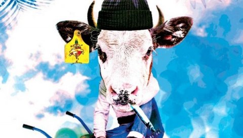 M/Ámor, vagy amit akartok M/Ámor, vagy amit akartok