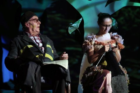 Kukac Kata kalandjai