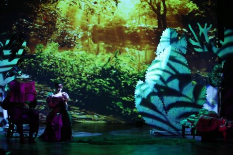 Kukac Kata kalandjai