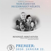 Nem élhetek muzsikaszó nélkül